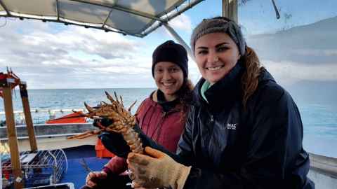 Dr Diana LaScala-Gruenewald, Institute of Marine Science