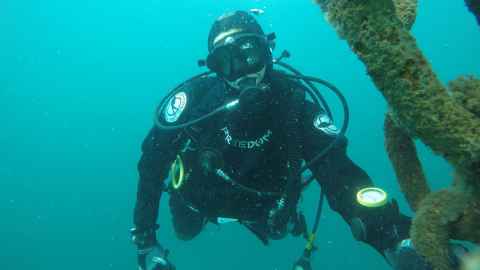 Dr Diana LaScala-Gruenewald (left) Institute of Marine Science.